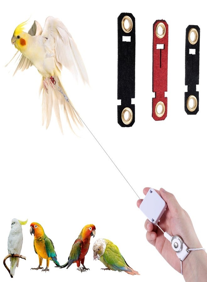 NQEUEPN Retractable Bird Leash, 6.56ft Bird Harness with 3 Sizes of Foot Rings Parakeet Flying Ankle Harness Parrot Leg Leash Outdoor Flying Training Supplies Kit for Cockatiels Budgies (White) - Image 1